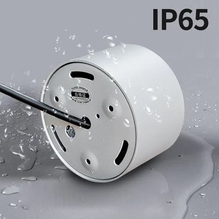 Spot LED étanche à haute luminosité pour montage en surface extérieur — LZ4P9XJ