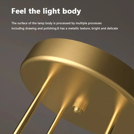 Plafonnier moderne multi-lampes pour intérieur — LZ4X9Q2