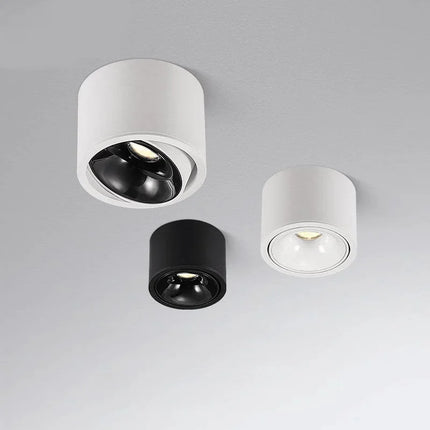 Plafonnier LED rond à intensité variable monté en surface — LZ4X9P2