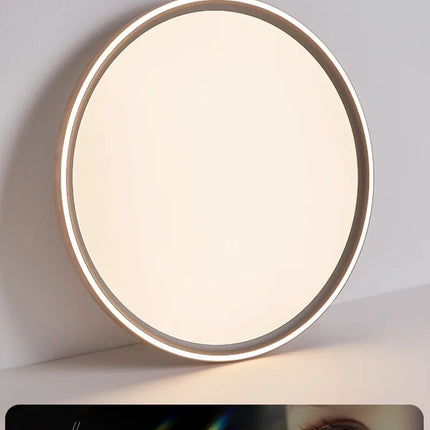 Plafonnier LED circulaire ultra mince en aluminium et acrylique — LZ4X9P2Q