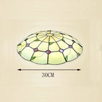 30CM 2 ampoules