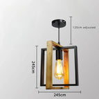 UN / Ampoule Edison / AMPOULE LED