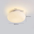 Lampe de plafond 20cm / Lumière blanche 6000K