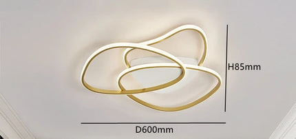 Plafonnier LED créatif au design moderne pour intérieur décoratif — LZ4X9P2