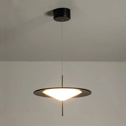 Suspension artistique en acrylique avec fil réglable pour divers espaces — LZ4X9P