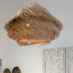 D50cm / Lumière blanche