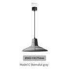 C Stomates gris / AC220V / CHINE