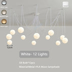 Blanc 12 Lumières / 3 Température de couleur