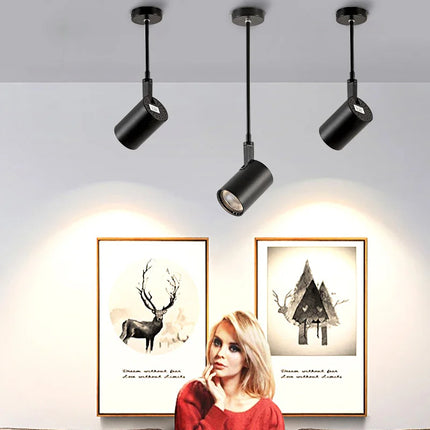 Plafonnier LED télescopique sur rail pour magasin et galerie d'art — LZ4X9P