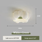 Vert Blanc 30cm / Gradation RC