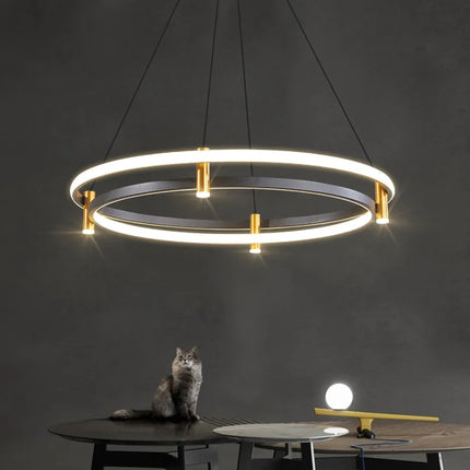 Lustre LED nordique en anneau décoratif pour intérieur — LZ4Q7D2