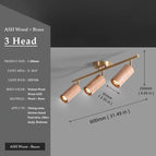 ASH 3 head / CHINA / 3000K Warm light