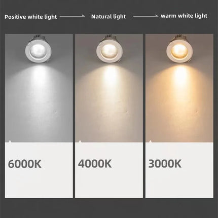 Spot LED rond étanche en aluminium pour intérieur et extérieur — LZ4P9XQ