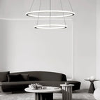 Lumière chaude 3000K / 1 Anneau D40cm