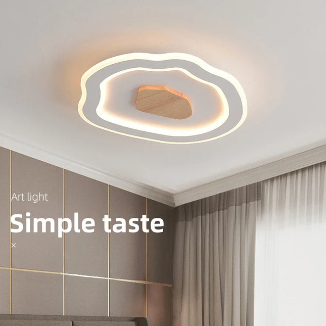 Plafonnier LED créatif au design nordique moderne simple — LZ4P9XQ