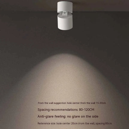 Spot directionnel rotatif 355° pour éclairage intérieur flexible — LZ4X9P