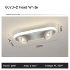 B-2 Head White / Cold Light