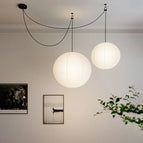 D30cm / Lumière blanche
