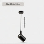 Poteau fixe 30CM / Type de plafonnier / Lumière blanche chaude | Corps de lampe noir | 30W