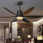 B-Avec lumière / 66 pouces avec télécommande / 110-240V