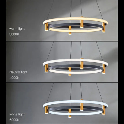 Lustre LED nordique en anneau décoratif pour intérieur — LZ4Q7D2