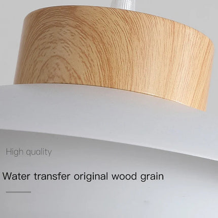 Lustre LED en métal au design moderne pour intérieur — LZ4X9P