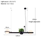 2 têtes 1 plante