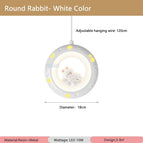 Lapin Blanc 1 / CA 220 V-240 V / 3 Température de couleur