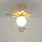 Plafonnier / Lumière blanche