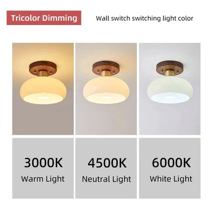 Plafonnier LED blanc pour hall, cuisine et salon — LZ4X9M2