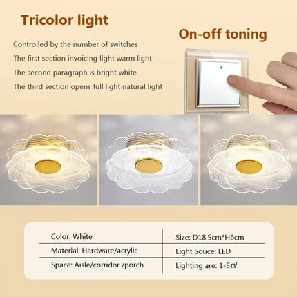Plafonnier LED design en acrylique pour décoration intérieure — LZ4X9J