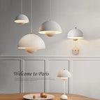 Couleur noire / Style de suspension / Lumière blanche et froide