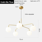 Or D75cm B / 3 couleurs