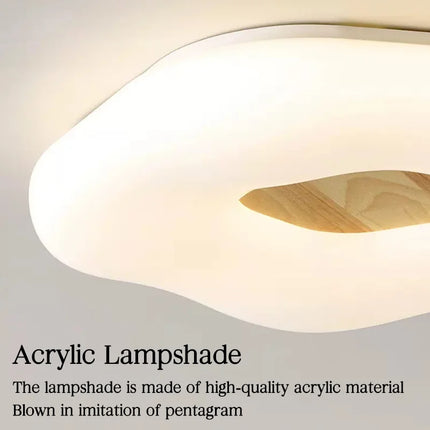 Plafonnier LED ultra-mince pour éclairage intérieur et décoration — LZ4X9M