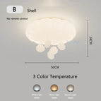 B / AC220V-240V / 3 Température de couleur | Pas de télécommande