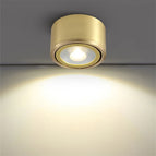Type COB / 3W / Blanc chaud 3000K