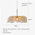 D60cm / neutral light