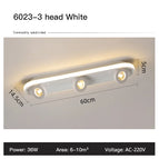 B-3 Head White / Warm Light