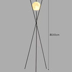 1ball floor lamp / Trichromatic light
