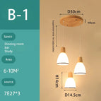 B1