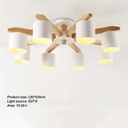Blanc 8 lumières / Fédération Rosyjska