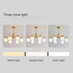 6 lumière / Lumière blanche