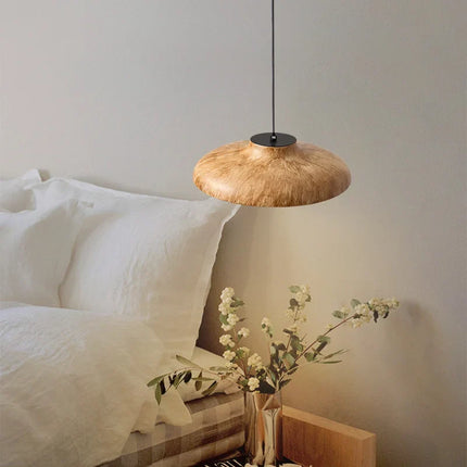 Suspension rétro en résine pour ambiance chaleureuse de restaurant — LZ4X9Q2N