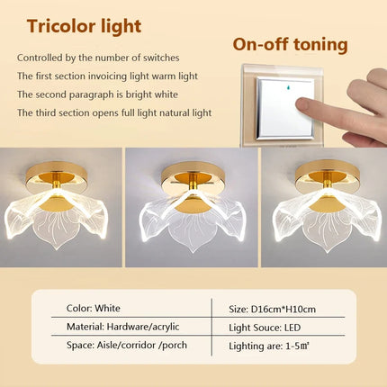Plafonnier LED design en acrylique pour décoration intérieure — LZ4X9J
