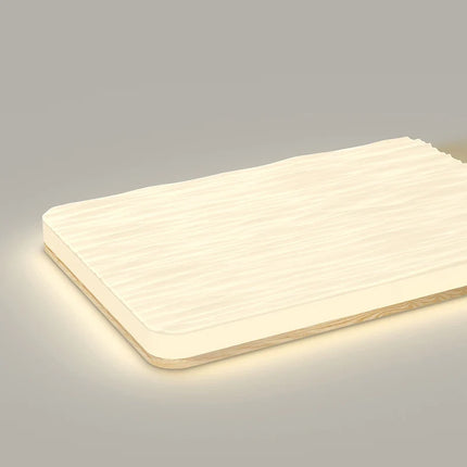 Plafonnier LED créatif au design moderne pour intérieur élégant — LZ4X7QJ