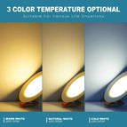 Warm White / 12W 220V