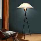 Diamètre 60 cm H 160 cm / Prise AU