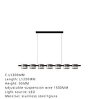 D-L800 H90 / Lumière froide