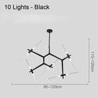 10 Lights Black / Cold White