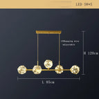 D 6lumière / Dimmable